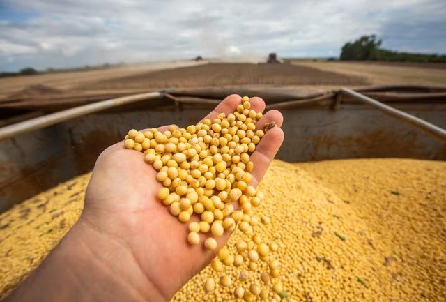 Crescimento de 0,5% no PIB do Brasil no 2º trimestre de 2026 é impulsionado pela agropecuária, segundo IBGE