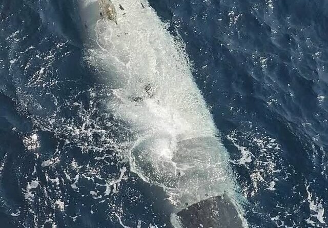 Drone Submarino dos EUA Infiltra-se no Irã: Conheça o Dive-LD que Opera 10 Dias Submerso sem Piloto
