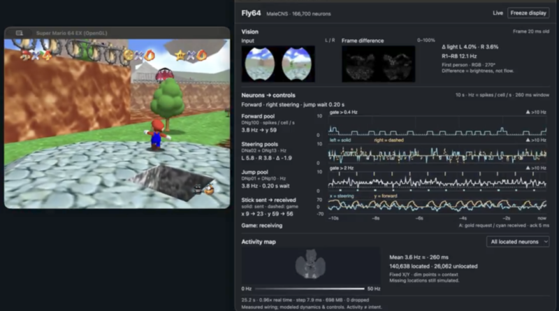 Google mapeia cérebro de mosca e a internet a treina para jogar Doom e Super Mario