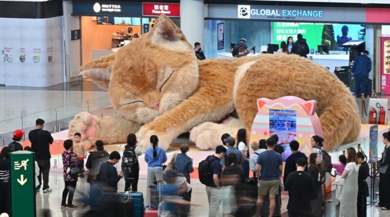 Hong Kong apresenta atração inusitada que encanta viajantes: um gato gigante e interativo