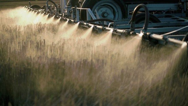 Justiça determina suspensão por 90 dias do registro de novos agrotóxicos à base de glifosato em todo o país