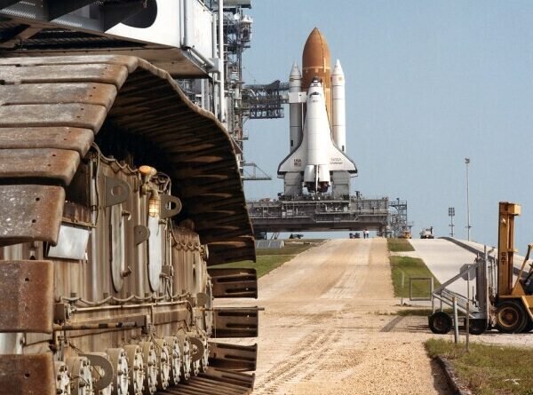 NASA envia 3.301 abelhas ao espaço em experimento que resulta em megaconstrução após sete dias