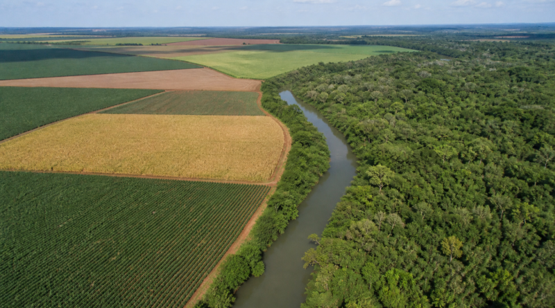 Senado aprova regulamentação ambiental para propriedades rurais