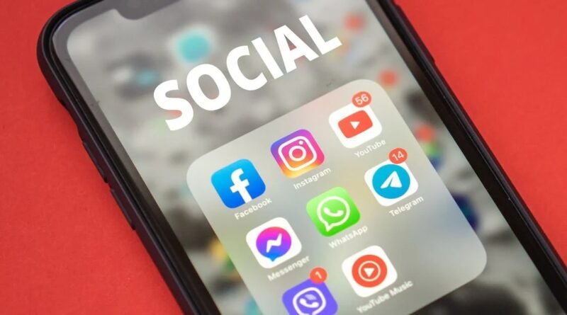 Tráfego de animais e plantas cresce nas plataformas digitais como Facebook, TikTok e Shopee