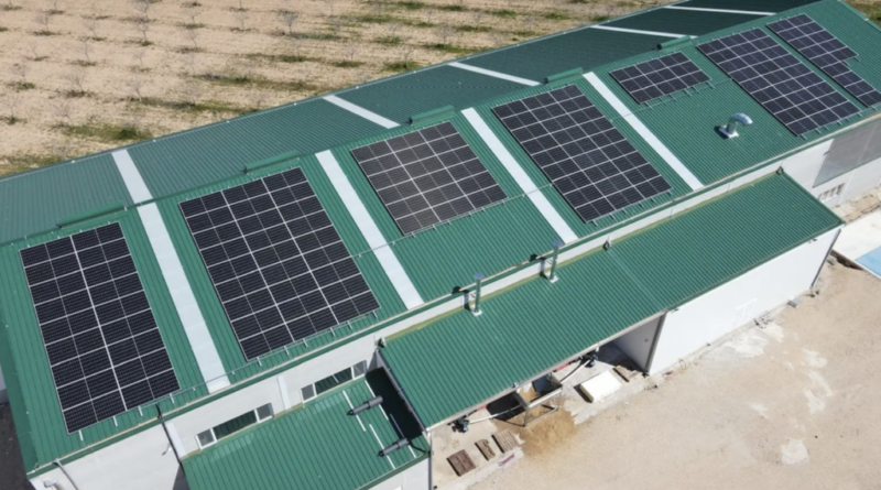 Unidade de Processamento de Pistache se Transforma em Ilha Energética com 136 Painéis Solares e 108 kWh de Baterias